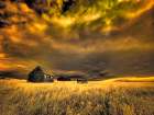 USA-Idaho-Liberty-Infrared of old cabin near Liberty Art Print
